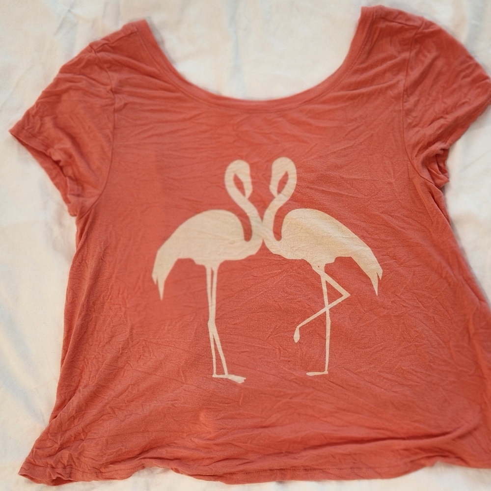 Aerie Pink Graphic Crop Tee Relaxed Fit